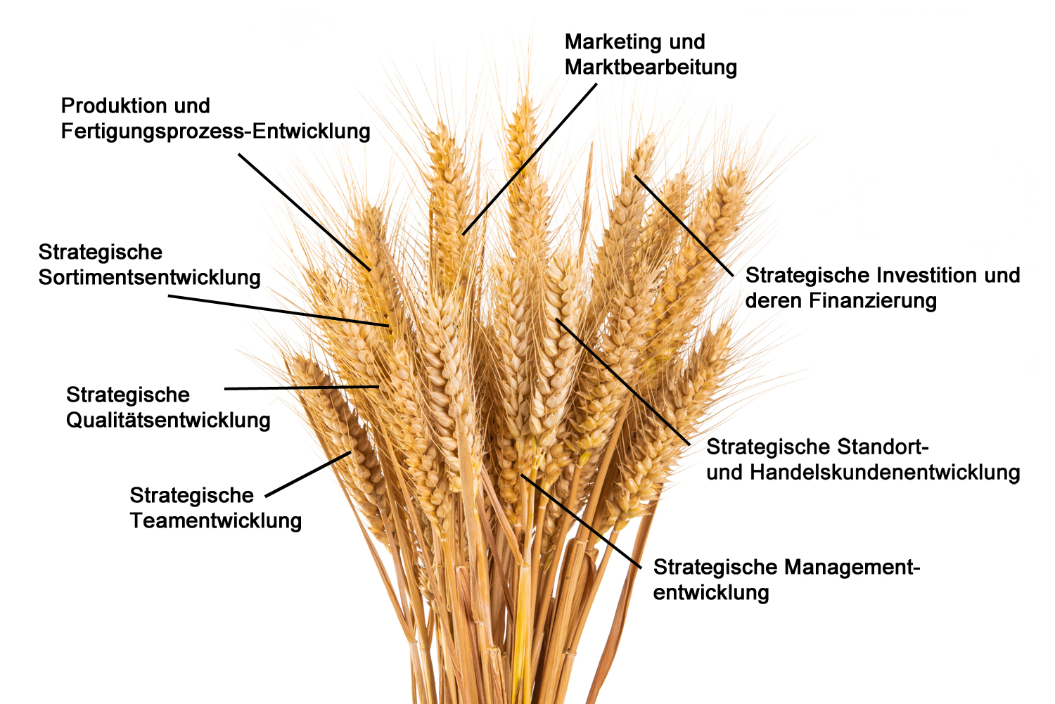 Ährendarstellung mit Beschriftung